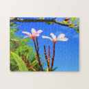 Search for hawaiian puzzles Oahu
