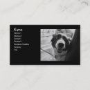 Search for herding photography Pets