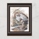 Search for vintage heron postcards Watercolor