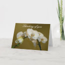 Search for white orchid postcards Orchids