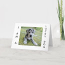 Search for great dane birthday cards Adult