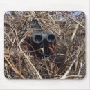 Search for observation mouse mats Environment