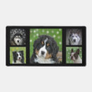 Search for bernese mouse mats Dogs