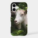 Search for funny goats iphone cases Animal