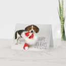 Search for shot photo cards Animal