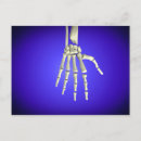Search for human limb postcards Connection