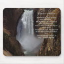 Search for successful mouse mats Determination