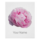 Search for rose lovers posters Flower
