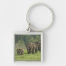 Search for indian elephant key rings Corbett national park