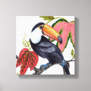 Search for toucan canvas prints Palm leaves