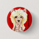 Search for hairless badges Crested