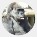 Search for cute gorilla stickers Funny