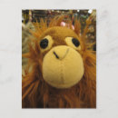 Search for ap postcards Monkey