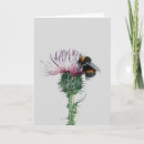 Search for nectar cards Flower