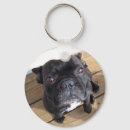 Search for pure key rings Dog