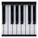 Search for musical instruments posters Keys