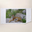 Search for tigers beach towels Safari
