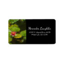 Search for lily pad return address labels Floral