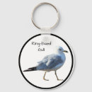 Search for gull key rings Wildlife