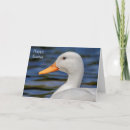 Search for white duck cards Wildlife