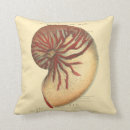 Search for shell cushions Ocean