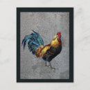 Search for cockerel postcards Chicken