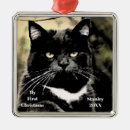 Search for crazy cat lady christmas tree decorations Kittens