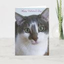 Search for love your cat cards I love you