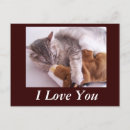Search for veterinary postcards Cute