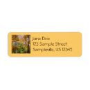 Search for fall trees return address labels Landscape