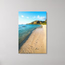 Search for fiji canvas prints Beach