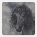 Search for black beauty horse stickers Wild