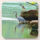 Search for herons barware Photograph