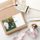 Search for sheepdog stickers Dog lover