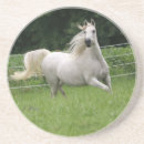 Search for arab horse coasters Arabian