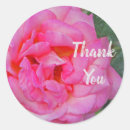Search for rose flower stickers Thank you