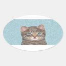 Search for gray tabby cat stickers Cute