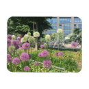 Search for fountain magnets Flowers