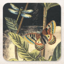 Search for butterfly coasters Botanical