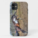 Search for equine iphone cases Horse lovers