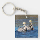 Search for pelicans key rings Nature