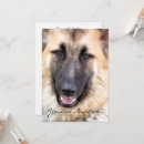 Search for shepherd invitations Gsd
