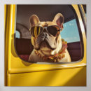 Search for chic posters Stylish