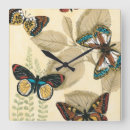 Search for butterfly clocks Leaves