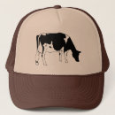 Search for dairy cow hats Cattle