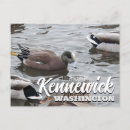 Search for feeding horizontal postcards Duck