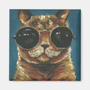 Search for kittis magnets Tabby