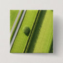 Search for hedge accessories Green