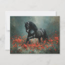 Search for friesian postcards Stallion