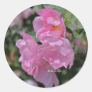 Search for light pink stickers Garden